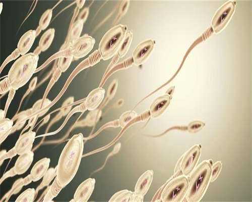 北京最靠谱代孕机构,运城做试管大概需要多少费用