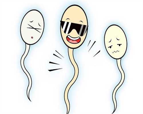 最著名代孕公司,做试管医院好吗？移植前为什么要憋尿