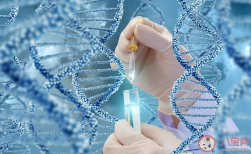 孕妇吸烟是否会导致胎盘脱离？助孕妈有必要拒绝烟草吗？