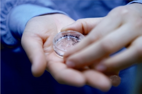 2026国内允许借卵*子吗借用第三方卵子的条件是什么