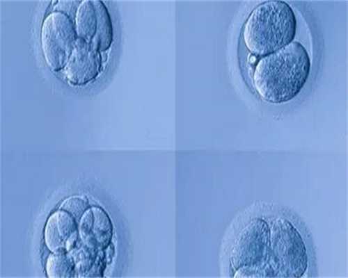 那里有做代孕的,深圳试管婴儿的条件！做试管需要检查什么