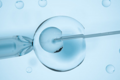 代孕哪里做得好,2026在抚州没有结婚证怎么找助孕机构做三代试管