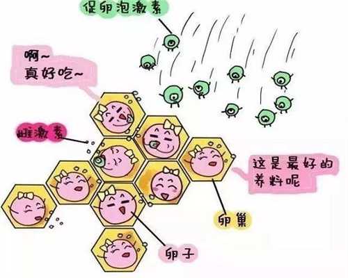 河池正规助孕中介排行榜