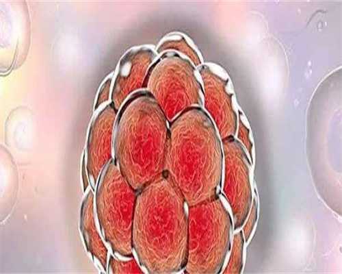 湛江正规的助孕医院比较新排行榜,成功率有一半以上吗？