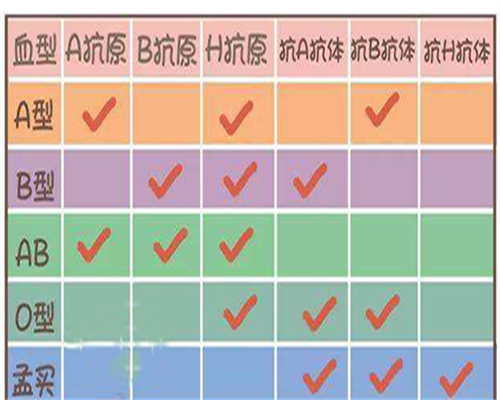 5bb囊胚：5bb的囊胚质量怎么样？