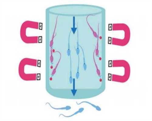 国内助孕中心公司介绍-国内正规的助孕机构有哪些！