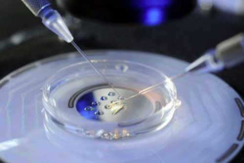 南宁比较好的生殖医院怎么样,2026生殖机构助孕成功率参考