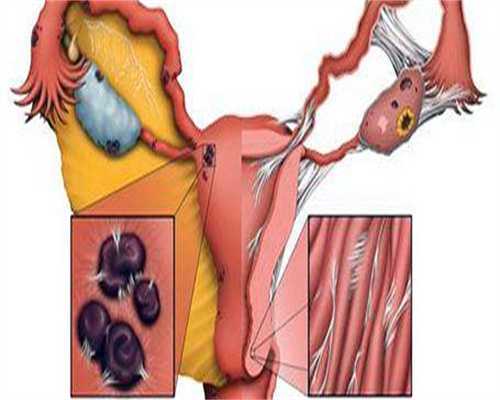 圆梦代孕网_福柚孕育试管上海,铜陵十大三代试管医院排名，内附成功率一览