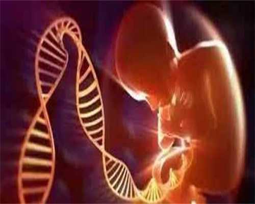 代孕网站有哪些,2026乌克兰助孕合法中介成功率有多高(乌克兰助孕机构)