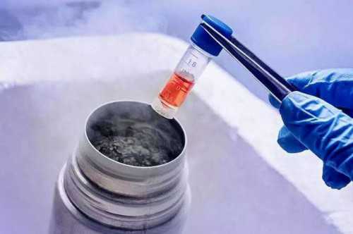 靠谱试管供卵代孕,两个冻胚能养成几个囊胚？