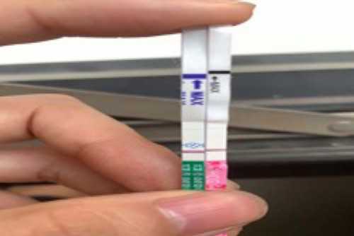 华南代孕研究_孕宝助孕怎么样,试管婴儿技术4个关键时间点，8个细节决定试管