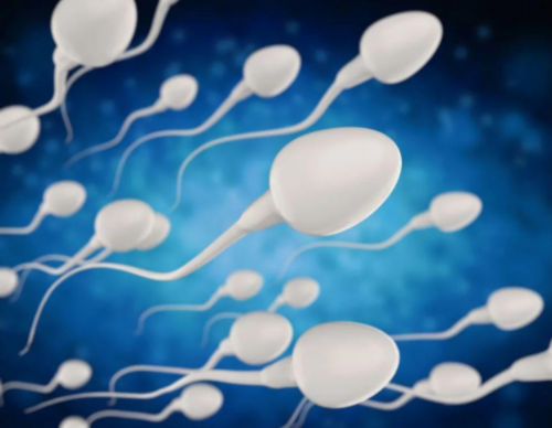 晋中最大的助孕服务公司正规吗？真实案例告诉你哪家好