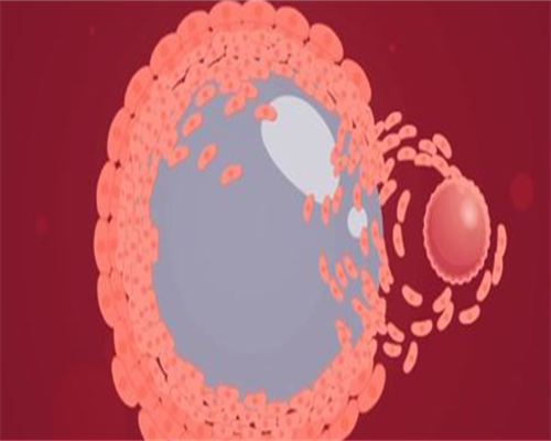 深圳生殖助孕中心比较新排行榜,高成功率机构优选攻略