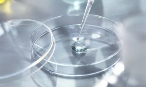 中山生殖助孕中心排名前十公布,2026好评比较多的医院参考