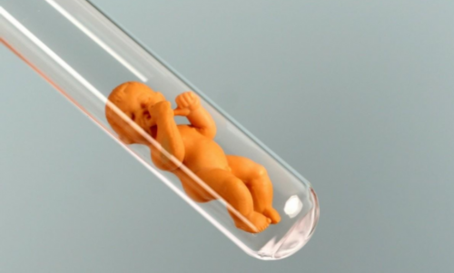 内蒙借卵代孕网,AMH0.26快要绝经难怀孕，供卵试管或是“救命稻草”！ 