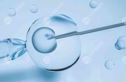 现在代孕费用是多少,俄罗斯试管婴儿医院选择攻略(NGC和EMC是大多数家庭的首选