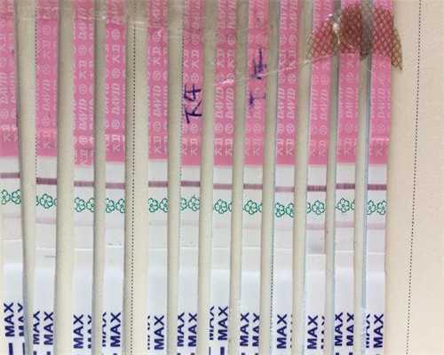 代孕机构在哪,柬埔寨试管助孕的费用标准