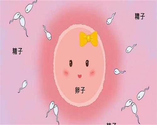 代孕机构哪里最安全,全国十大试管医院成功率排名，附试管助孕机构一览!