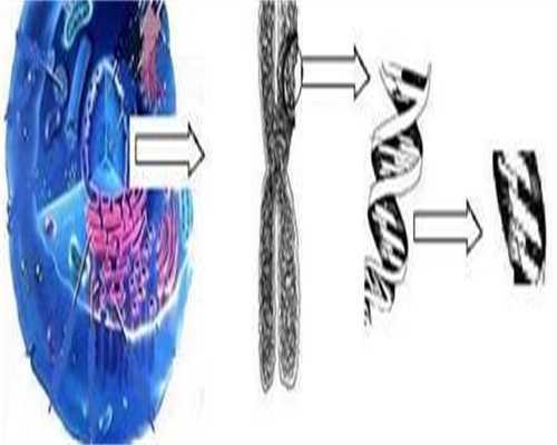 代孕靠谱医院,浅谈做试管自然周期需不需要？助孕费用明细！