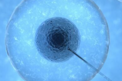 （助孕可靠）三代试管能确保孩子健康吗更多助孕客户的选择