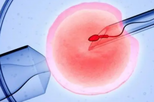 一般代孕的价钱,借卵试管生男孩几率大吗？实际上正常人生男孩几率差不多？