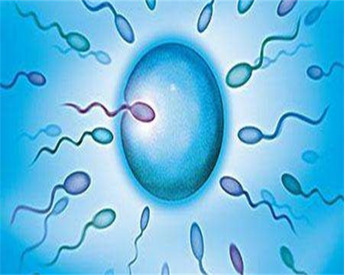 代孕整个过程,试管婴儿历史讲解！本来带你走进试管婴儿！