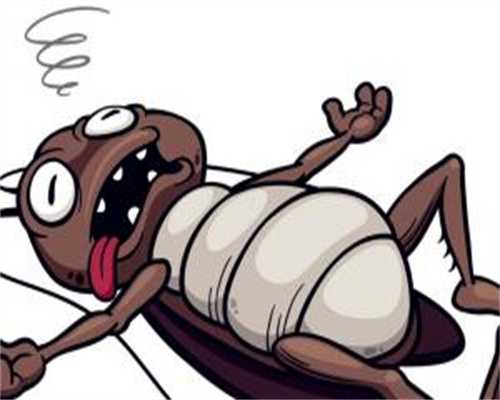 代孕有几家, 安阳妇幼保健院生殖科哪个医生试管助孕技术好？ 