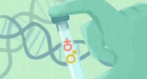 孕宝代孕孩子包成功,人工授精多久可以恢复身体_人工授精多久能怀孕