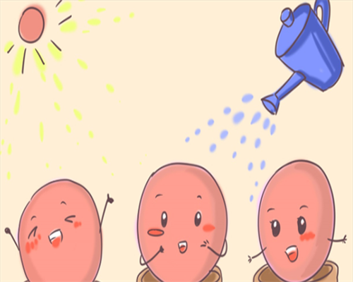 亳州正规试管助孕医院有哪些