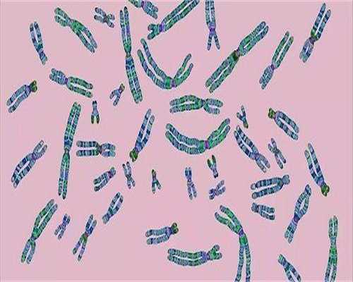 国内有正规的代孕机构吗, 广医三院生殖医学中心做三代供卵试管婴
