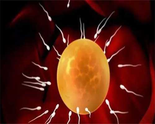 专业的代孕包成功套餐,国内可以选男女的试管医院排名，附试管助孕费用一览