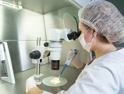 七星试管代孕_世纪助孕法定代表人,人工周期最早几天移植？