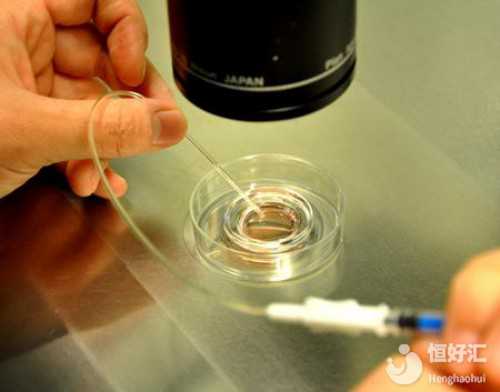 三代试管泰国_金贝代孕哪里最便宜,供精做试管有什么优缺点供精做试管的小孩